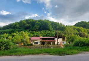 obrázek - Transilvania 10 - Casa Poarta Văii Jiului