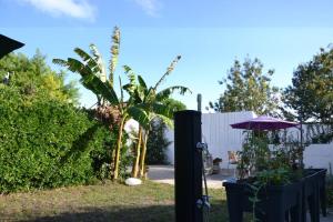 Maisons de vacances Verdure, calme et lumiere au Chateau d'Oleron : photos des chambres