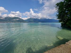 Appartements A 200 metres du lac d'Annecy, spacieux appartement 3 chambres avec terrasse et jardin : photos des chambres