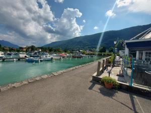 Appartements A 200 metres du lac d'Annecy, spacieux appartement 3 chambres avec terrasse et jardin : photos des chambres