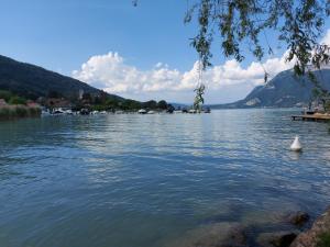 Appartements A 200 metres du lac d'Annecy, spacieux appartement 3 chambres avec terrasse et jardin : photos des chambres