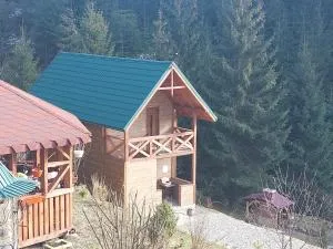 Котедж у Ліску 2 - Ilʼtsya Gurny