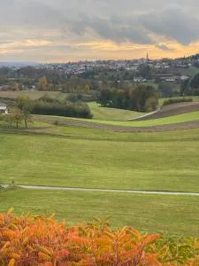 Mondstein - Pfaffenreut