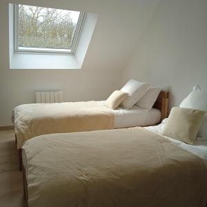 Gîte cosy en forêt
