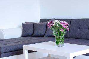 Panoramic apartment in old town Bratislava