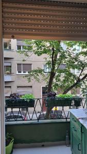 Apartman Jaki 