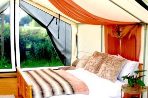 Bell Tent Village