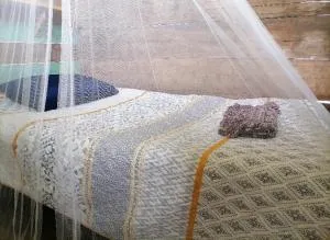 Bribri ù sule - Chasse