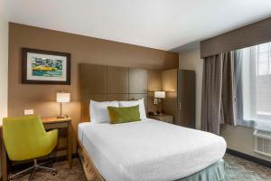 Queen Room room in Best Western Brooklyn-Coney Island Inn