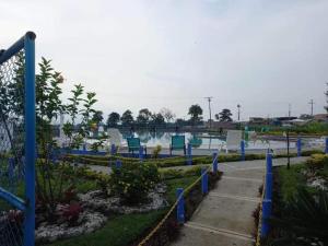 Guaduales del cafe isabella