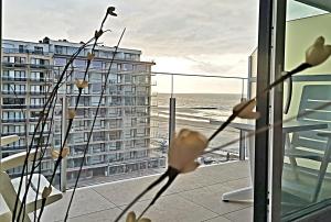 Westeinders Sea View