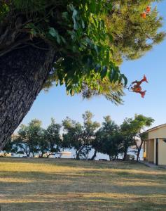 Apartment Dinjiska 9386a