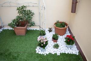 Appartamento con 1 Camera da Letto