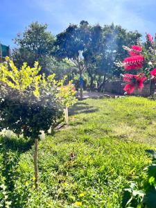 Sejours chez l'habitant Casa Monica, chambre avec jardin : photos des chambres