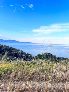 Sejours chez l'habitant CASA MONICA CARGESE - Roseroom - Chambre d hote : photos des chambres
