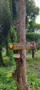 บ้านลูกจัน Bann Lookjan Trat