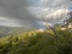 Wincliff Orchard Resort