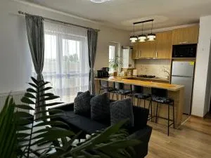 Apartament Elena - 锡比乌盐矿镇