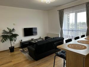 Apartament Elena