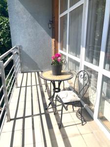 Apartment Dzelzavas193, Riga