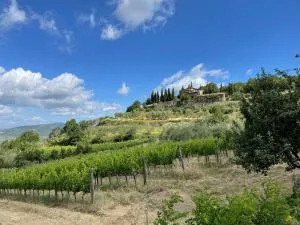 Agriturismo Podere Querceto - Cigliano