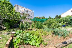 Apartments & Rooms V&M