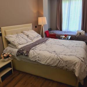 Hotel Driti New Bazaar