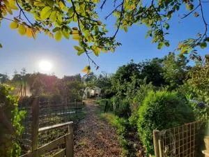 Appartement 3 met terras aan de tuin van Op de Roemte - Garnwerd