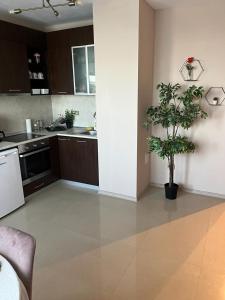 Lighthouse Golf Resort & Spa Apartments