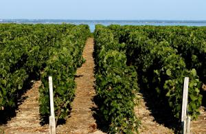 Villages vacances VVF Soulac-sur-Mer Bordeaux Medoc : photos des chambres