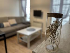 Appartements Saphir YourHostHelper : photos des chambres