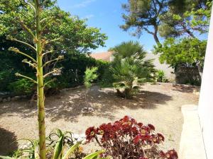 Appartements Appartement Six-Fours-les-Plages, 2 pieces, 4 personnes - FR-1-316-174 : photos des chambres