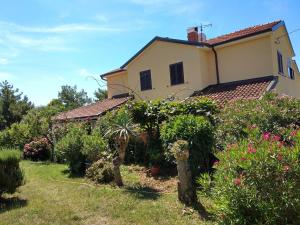 Apartments Graziella Zambratija 