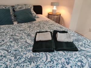 Appartements Les Rives Bleues - atypique et climatise - 2 salles d'eau - Wifi : photos des chambres