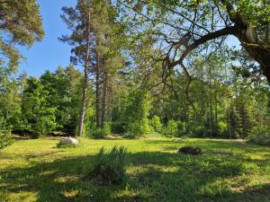 Elulille maja mere läheduses Lahemaa rüpes