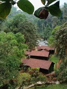 Three Hills Resort Coorg - Napoklu