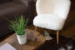 Maison Carrel Elegant 1 - 布勒伊-切尔维尼亚