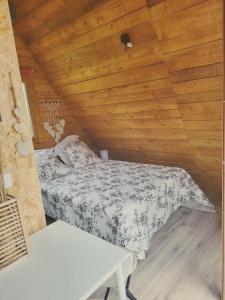 Chalets Chalet en A de la Motte-Fanjas : photos des chambres