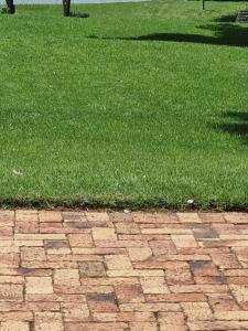 Emufuleni river logde