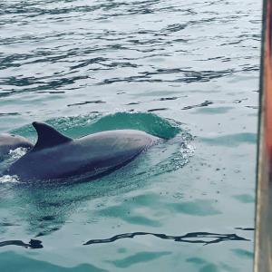 Ideal rural location for beaches, hills and town