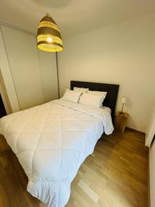 Appartements L’Hermine, parking & terrasse : photos des chambres