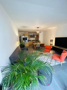 Appartements L’Hermine, parking & terrasse : photos des chambres