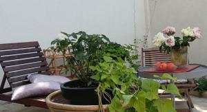 B&B / Chambres d'hotes Maison Arelate : Chambre Double - Vue sur Jardin