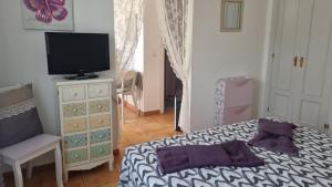 Sol y Sombra Apartamento con entrada independiente