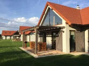 Vila Vintage - Borský Svätý Mikuláš