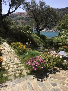 Appartements La Nicrom : photos des chambres