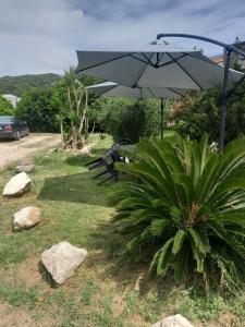 BeaStella Holiday Rooms