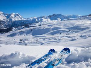 Appartements Charmant 2 pieces a La Tania, skis aux pieds, 4 pers, balcon, proches commodites - FR-1-182A-42 : photos des chambres