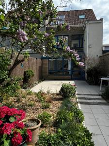 Maisons de vacances L'atelier du peintre : photos des chambres