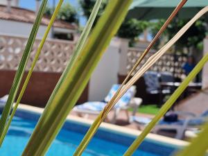 Riumar "Camins", 380m to beach, private pool, On-Site-Service, dog beach